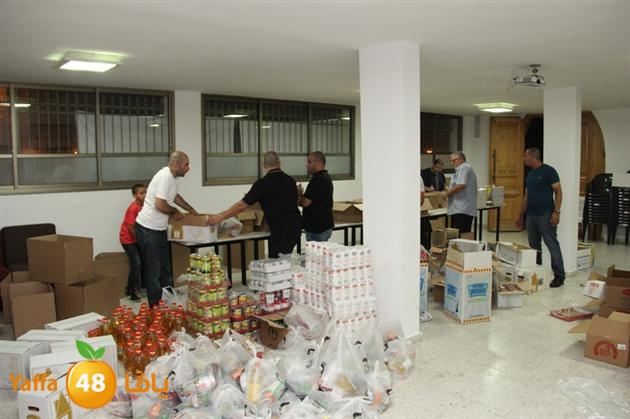 tard nema2 sjf (10).JPG